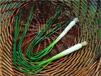 Горещ изкуствен зелен лук изкуствен зеленчуци, лук-шалот фалшива храна домашен и кухненски интериор