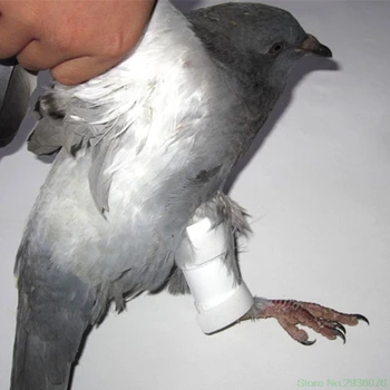 2019 Нови Птичи Пръстени За Краката На Гълъбите Папагали Защита На Краката Пилета Бантам Домашни Птици